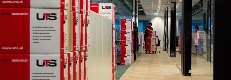 uts-one